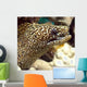 Moray He Wall Decal