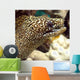 Moray He Wall Decal