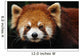 Endangered Red Panda Close up Wall Mural