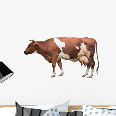 Adult Cow Wall Decal shown on a wall
