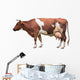 Adult Cow Wall Decal