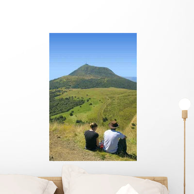 Vue Sur Le Puy Wall Decal shown on a wall