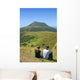 Vue Sur Le Puy Wall Decal