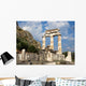 columns greek at Delphi Wall Mural