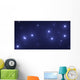 The Big Dipper Wall Mural