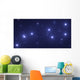 The Big Dipper Wall Mural