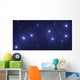 The Big Dipper Wall Mural