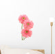 Pink Gerber Daisies Wall Decal