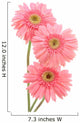 Pink Gerber Daisies Wall Decal