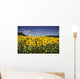 Girasoli Del Monferrato Wall Mural