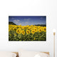 Girasoli Del Monferrato Wall Mural