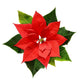 Red Christmas Poinsettia Flower Wall Decal