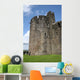 Caerphilly Castle Wall Mural