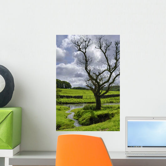 Tree near Water Wall Decal