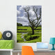 Tree near Water Wall Decal