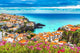 Panoramic over Camara Lobos Wall Decal