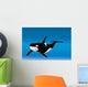 Orca Bottom Sea Wall Mural