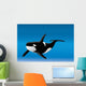 Orca Bottom Sea Wall Mural