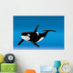 Orca Bottom Sea Wall Mural