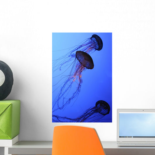 Jellies Wall Mural