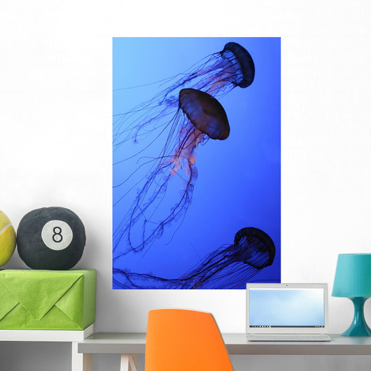 Jellies Wall Mural
