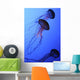 Jellies Wall Mural