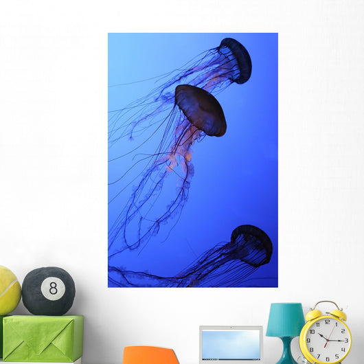 Jellies Wall Mural