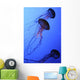 Jellies Wall Mural