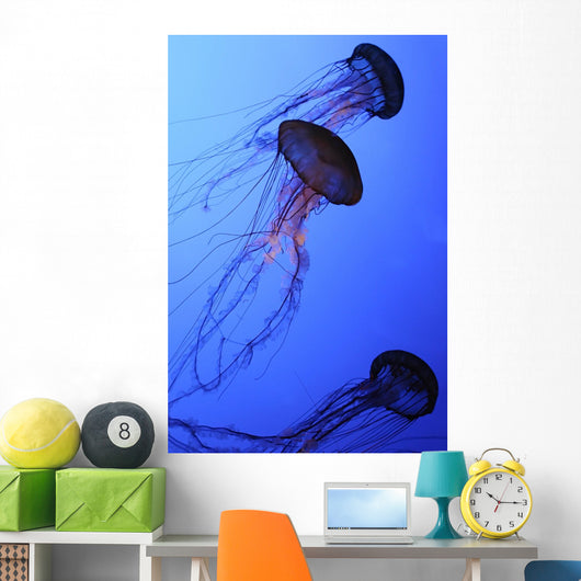 Jellies Wall Mural