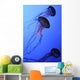 Jellies Wall Mural