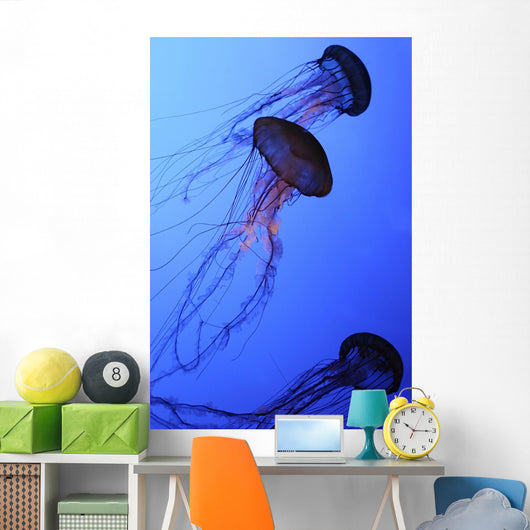 Jellies Wall Mural