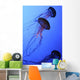 Jellies Wall Mural