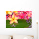 Tropical spa Wall Mural