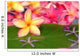 Tropical spa Wall Mural