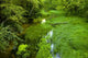 Green Paradise Wall Decal