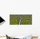 Waldweg Treewalk Wall Decal