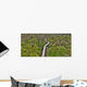 Waldweg Treewalk Wall Decal