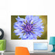 Il Fiordaliso Wall Mural