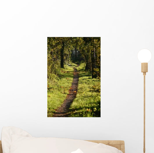 Pattken Forest Wall Decal
