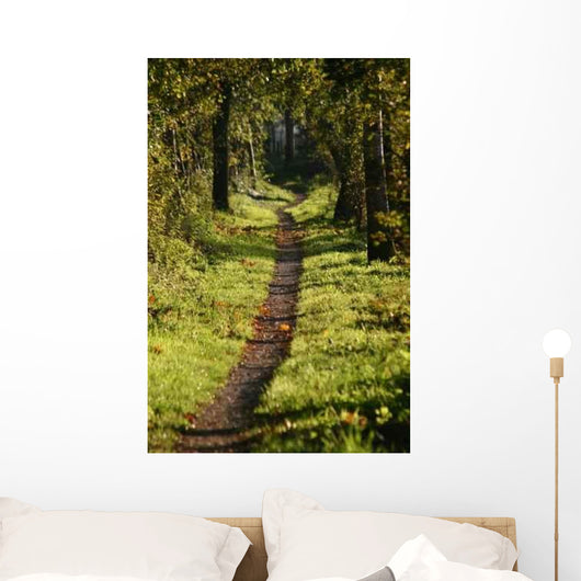 Pattken Forest Wall Decal