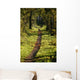 Pattken Forest Wall Decal