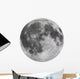 Nasa Full Moon Wall Decal