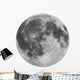 Nasa Full Moon Wall Decal