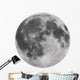 Nasa Full Moon Wall Decal