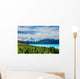 Mount Cook, New Zealand Wall Mural