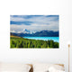 Mount Cook, New Zealand Wall Mural