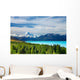 Mount Cook, New Zealand Wall Mural