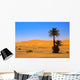 Palm Tree Sahara Desert Wall Decal