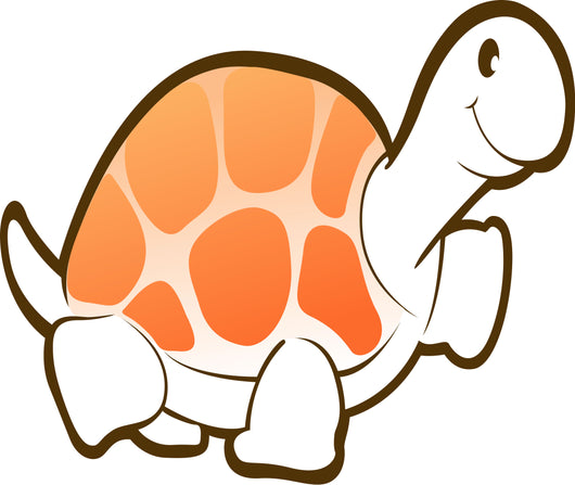 White Turtle with Pink Wall Decal