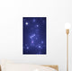 The constellation of Orion Wall Mural